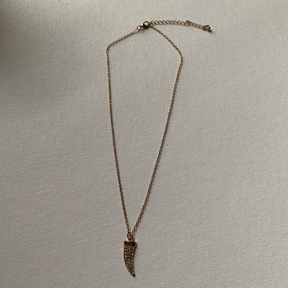 Tiger Tooth Necklace